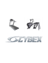 Cybex set | Arc trainer | Loopband | Cardio |